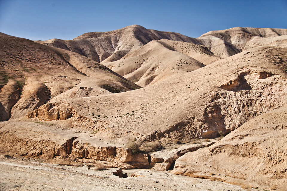 Pustynnych wzgórz dookoła Jerozolimy nie porasta żadna roślinność